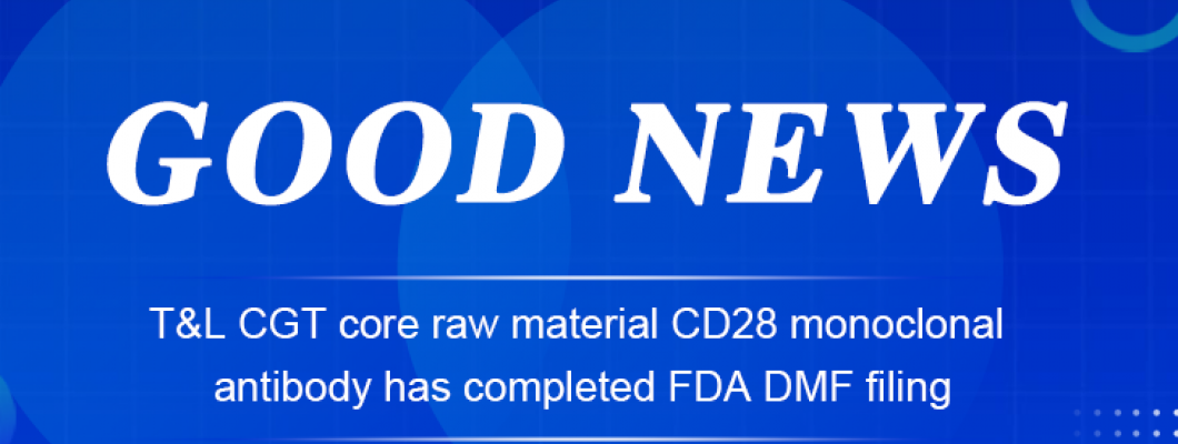 Good news | T&L CGT core raw material CD28 monoclonal antibody has completed FDA DMF filingNew Blog Post